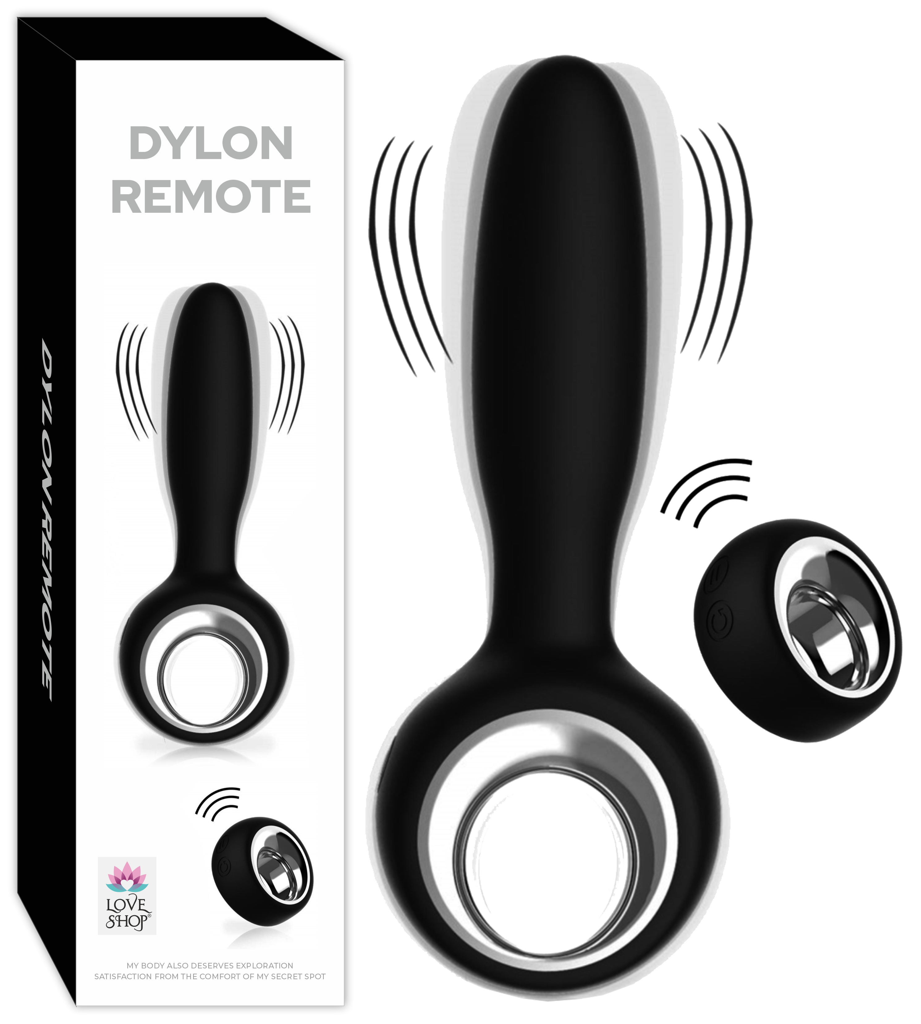 DYLON REMOTE